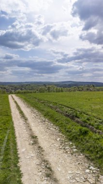 Parçalı bulutlu bir gökyüzünün altında canlı yeşil alanlar boyunca uzanan manzaralı kırsal yol. Doğa meraklıları ve açık hava aktiviteleri için sükunet ve keşifleri teşvik etmek için ideal..