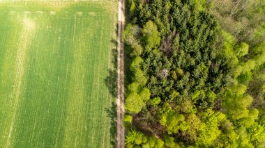 Bölünmüş bir arazinin hava görüntüsü yoğun ormanla çelişen canlı yeşil bir alan gösteriyor. Bu sahne doğanın güzelliğini ve ekosistemlerin çeşitliliğini yakalar..