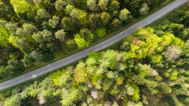 Bereketli yeşilliklerle çevrili dolambaçlı bir yolun havadan görünüşü baharda doğanın güzelliğini vurguluyor. Sahne hareketli ağaçları ve berrak gökyüzünü yakalıyor seyahat ve yaşam tarzı temaları için ideal..