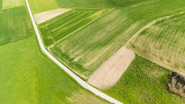 Toprak yola bölünmüş yemyeşil tarım arazilerinin hava manzarası açık güneşli hava altında canlı ürün ve tarlaları gösteriyor..