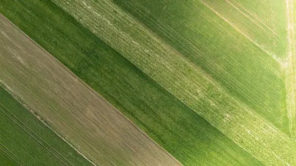 Yeşillik, yemyeşil tarım alanlarının havadan görünüşü, kırsal alanlarda güpegündüz yeşillik ve kahverengiliğin değişik tonlarını gözler önüne seriyor. Çevre temalı projeler için ideal.