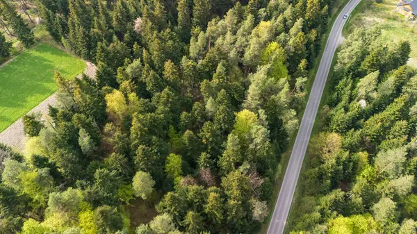 Bereketli yeşil ormanın ve dolambaçlı bir yolda bitişik tarlaların havadan görünüşü gün ışığında sakin bir ortamda doğanın güzelliğini gösteriyor..
