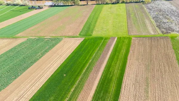 Alternatif yeşil ve kahverengi tarım alanlarının açık mavi gökyüzünün altındaki havadan görünüşü ekilmiş toprakların örüntülerini gösteriyor. Tarım ve kırsal yaşam tarzı temaları için ideal.