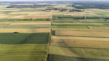 Uçsuz bucaksız tarım alanlarının havadan görünüşü uzaktaki küçük bir köyde yeşilin ve kahverenginin çeşitli tonlarını gösteriyor. Kırsal bölgeleri ve tarım temalarını keşfetmek için mükemmel..