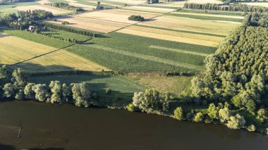 Ağaçlarla çevrili yeşil ve altın tarlalar ve kırsal bölgelerin güzelliğini gösteren sakin bir nehir kırsal alanda gün ışığında..