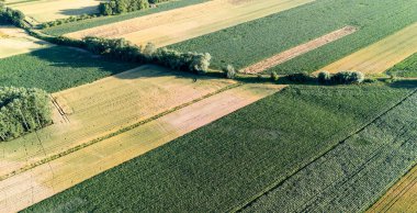 Bereketli tarım alanlarının havadan görünüşü tarım manzarası ve doğa temalarını gözler önüne sermek için açık bir gökyüzüne karşı çeşitli ekinler ve desenler seriyor..