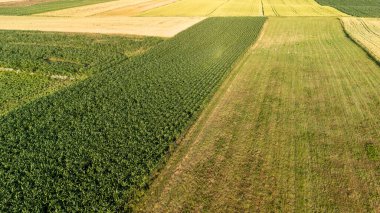 Canlı tarım alanlarının havadan görünüşü güneş ışığı altında çeşitli ürün ve dokuları gösteriyor. Bu tarım arazisi, kırsal yaşamın ve sürdürülebilir tarım uygulamalarının özünü temsil etmektedir..
