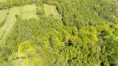 Bereketli yeşil ormanın ve açık alanların havadan görünüşü, gün içinde kırsal bir alanda ağaçların ve yaprakların canlı bir karışımını gösteriyor. Doğa ve çevre temaları için ideal.