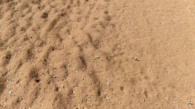 Küçük çimen parçalarıyla kumlu toprağa yakından bakmak tarımsal ve çevresel temalar için uygun olmayan desenler ve düzensiz araziler sergiliyor.