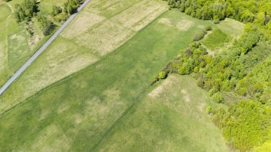 Açık araziler ve parlak güneş ışığı altında ormanlık bir alana sahip engin yeşil bir manzaranın havadan görüntüsü. Huzurlu manzara doğanın güzelliğini ve sükunetini sergiliyor..