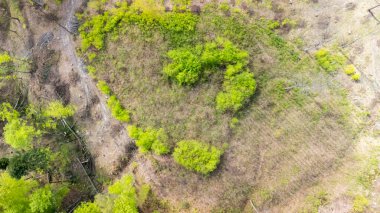 Kuru kara parçalarıyla çevrili yeşil bir arazinin havadan görünüşü ormansız bir bölgede yenilenme olduğunu gösteriyor. Sahne, doğanın esnekliğini ve çevresel iyileşmesini yansıtıyor..