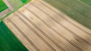 Toprak ve ekinlerin paralel çizgilerini gösteren tarımsal tarlaların havadan görünüşü. Canlı yeşil ve kahverengi renkler ilkbaharda kırsal bir manzara yaratır.