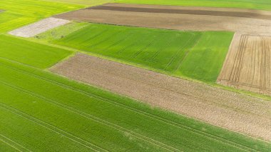 Canlı tarım alanlarının havadan görünüşü yeşilin ve kahverenginin çeşitli tonlarını gösteriyor. Çiftçilik doğası ve sürdürülebilir tarım uygulamaları ile ilgili kavramlar için ideal.
