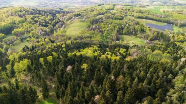 Baharda yemyeşil ormanların ve tarlaların havadan görünüşü. Manzara, doğanın güzelliğini ve sükunetini gözler önüne seren yaprakların ve çiftliklerin canlı bir karışımını içeriyor..