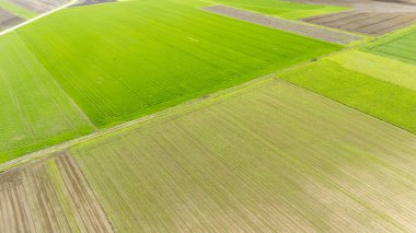 Yeşillik, yemyeşil tarım alanlarının havadan görünüşü çeşitli ekin biçimleri ve tarım arazisi yönetim tekniklerini temsil eden yeşil ve kahverengi tonlarını gözler önüne seriyor..