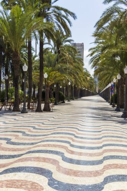 Dalgalı asfalt desenli, palmiye kaplı bir gezinti güvertesinin güneşli manzarası. Tropikal bir ortamda şehir eğlencesi ve açık hava aktivitelerini sergilemek için ideal..