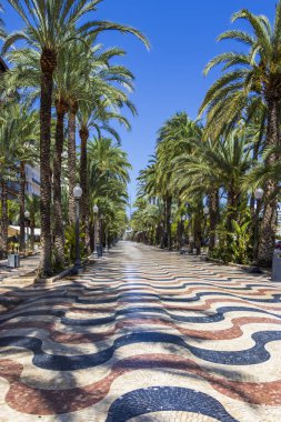 Açık mavi gökyüzünün altında dalgalı desenli kaldırımlı bir gezinti alanı güneşli bir yerde yürümek ve dinlenmek için sakin bir atmosfer sunuyor..