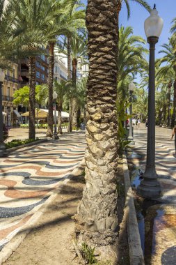 Palmiye ağaçları ve Alicante İspanya 'da eşsiz dalga desenli yürüyüş yollarıyla dolu canlı bir cadde. Bu canlı sahne açık hava hayatının özünü yansıtıyor..
