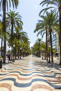 Alicante İspanya 'da canlı palmiye ağaçlarıyla kaplı yol mavi gökyüzünün altında güzel desenli fayanslar sergiliyor güneşli bir açık havada sakin yürüyüşler ve rahatlamaya davetiye çıkarıyor..