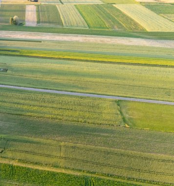 Gün batımında geniş tarım alanlarının havadan görünüşü canlı yeşil ve altın tarlalar sarmal toprak bir yol ve kırsal sükuneti vurgulayan ağaçlar gösteriyor..