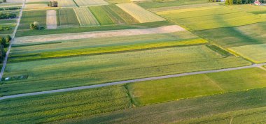 Değişen doku ve desenlere sahip canlı yeşil alanlar gün ışığında tarımsal araziyi gösteriyor. Tarım manzarası ve doğa temaları için ideal.