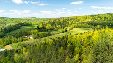 Bereketli yeşil tepelerin ve ormanlık alanların havadan görünüşü canlı ağaçlar ve açık arazileri gösteriyor. Parlak mavi bir gökyüzünün altında, doğanın güzelliğini vurgulayan bulutlar var..