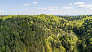 Baharda yemyeşil bir ormanın havadan görünüşü canlı ağaçlar ve açık mavi bir gökyüzü altında tüylü bulutların altında dolambaçlı bir yol gösteriyor..
