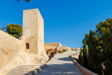 Tarihi taş kule ve patika, güneşli bir günde yeşillik ve açık mavi gökyüzü ile çevrili antik bir kalenin girişine doğru gidiyor..