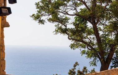 Bereketli yeşil yapraklar ve taş bir duvarla çerçevelenmiş sakin bir okyanusun manzarası. Rahatlama ve huzur için mükemmel bir ayar..