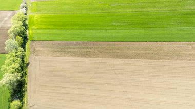 Canlı yeşil ve kahverengi tarım alanlarının havadan görünüşü kırsal alanda mevsimsel tarım faaliyetlerini gösteriyor. Doğanın planının mükemmel bir temsili.