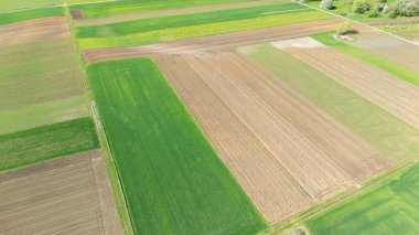 Canlı tarım alanlarının çeşitli aşamalarındaki havadan görünüşü ilkbahar veya yaz aylarında açık bir gökyüzü altında farklı yeşil ve kahverengi mahsuller sergiliyor..