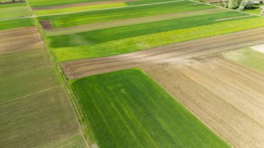 Kırsal alanda yeşil ve kahverenginin farklı tonlarına sahip canlı tarım sahalarının havadan görünüşü mevsimsel ürün modellerini ve tarım arazilerinin kullanımını gösteriyor..