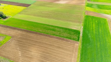 Canlı tarım alanlarının havadan görünüşü yeşil ve kahverenginin çeşitli tonlarını gösteriyor. Toprak sürme desenleri kırsal alandaki tarım sürecini yansıtıyor.