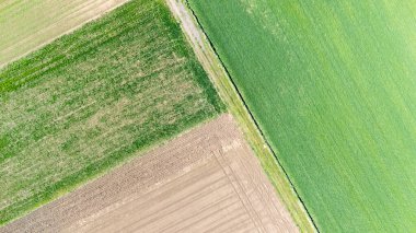 Tarım alanlarının havadan görünüşü, modern tarım tekniklerini vurgulayarak, yeni sürülmüş toprak ve bereketli yeşil ekinler arasında canlı bir tezat olduğunu gösteriyor..