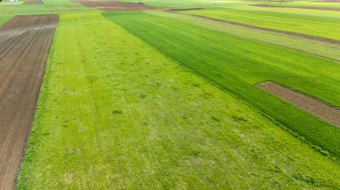 Canlı yeşil ve kahverengi tarımsal alanların havadan görünüşü, doğa çiftçiliği ve kırsal alanlar için ideal olan zıt tonlar ve dokular sergiliyor. Gün ışığında yakalandılar..