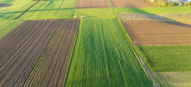 Güneş doğarken canlı yeşil ve kahverengi tarlaların havadan görünüşü kırsal alanda tarımsal arazileri gösteriyor. Alanların yaması tarım uygulamalarını vurguluyor.