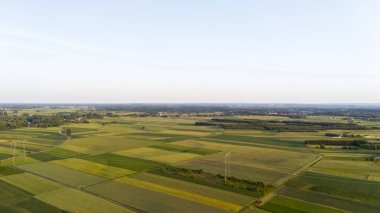 Kırsal bölgelerdeki geniş tarım alanlarının havadan görünüşü doğa ve manzara projeleri için mükemmel geçen altın saat boyunca berrak bir gökyüzü altında yemyeşil ekinler sergiliyor..