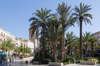 Valencia 'daki güneşli plazada canlı yeşil palmiye ağaçları ve tarihi binalar var. Şehrin göbeğindeki eğlence ve kültürel aktiviteler için mükemmel..