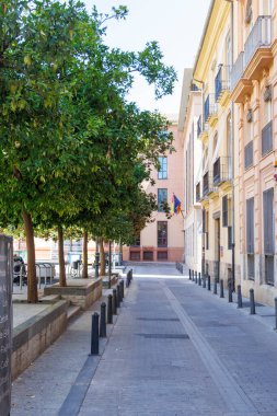 Valencia İspanya - 13 Temmuz 2025: Valencia 'da canlı binaların bulunduğu sakin cadde yemyeşil ağaçlar ve renkli bayraklar sakin bir şehir atmosferi yaratıyor.
