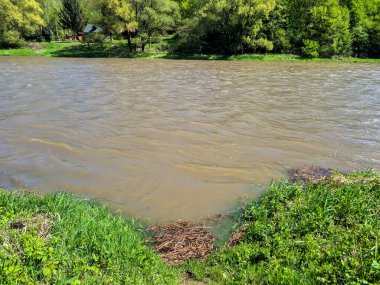Berrak bir nehir manzarası, yemyeşil çimenler ve ağaçlarla çevrili akan kahverengi suları sergiliyor. Doğanın sükunetini, huzurlu bir açık hava ortamında yakalıyor..