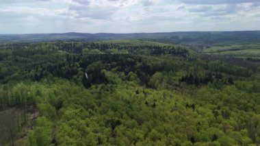 Uçsuz bucaksız bahar ormanlarının ve mavi gökyüzünün altındaki yuvarlanan tepelerin geniş açılı görüntüsü, kırsal manzaranın panoramik görüntüsü..