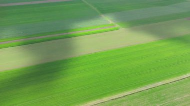 İlkbaharda çizgili tarlaların insansız hava aracı görüntüleri, doğal toprak şekilleri ve yemyeşil ekinler sergiliyor..