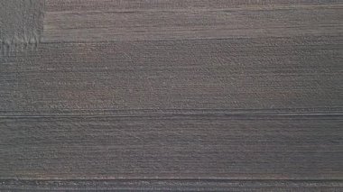 Geometrik toprak desenleri ve bölünmüş ekin bölgeleri olan tarlalı tarlaların havadan görünüşü.