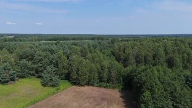 Tarımsal alanları çevreleyen yeşil bir ormanın havadan çekilmiş görüntüsü doğal bir manzara karşıtlığı yaratıyor..