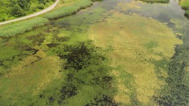 Yeşil bitki örtüsü ve çevresindeki sulak arazilerle sığ bir göl manzarası..