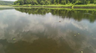 Bereketli yeşillik ve ağaçlarla çevrili, bulutları yansıtan sakin bir göl manzarası..