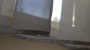 Saf beyaz perdelerin, güneş ışığı pencereden geçerken yavaşça hareket ettiği ve sıcak ve sakin bir atmosfer yarattığı bir video..