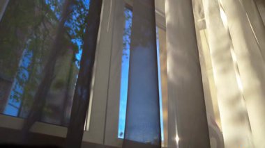 Açık mavi gökyüzünü ve rüzgarda sallanan yemyeşil yaprakları gösteren dikey perdeleri yakalayan bir video..