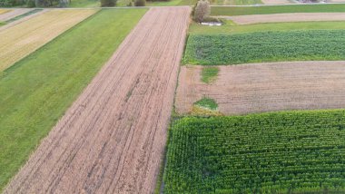Tarım alanlarının havadan görünüşü çeşitli ürün ve dokuları gösteriyor. Canlı yeşil bitki örtüsü mevsimsel değişiklikleri gösteren altın kahverengi hasat alanlarıyla çelişiyor..