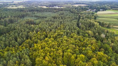 Bereketli yeşil orman manzarasının havadan görünüşü, doğa temalı projeler için arka planda açık arazili ve yaprak döken ağaçların bir karışımını gösteriyor..